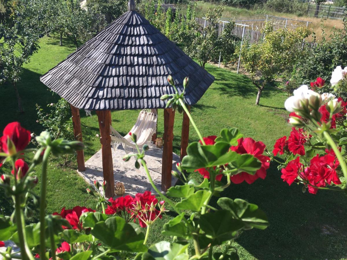 Casa Moldovan Ocna Sugatag Ngoại thất bức ảnh