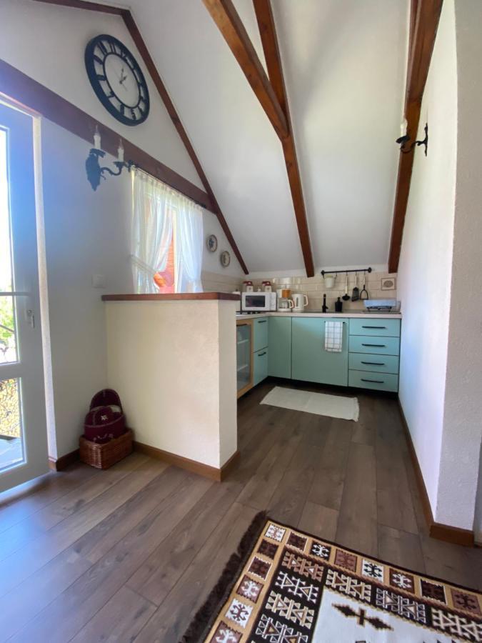 Casa Moldovan Ocna Sugatag Ngoại thất bức ảnh