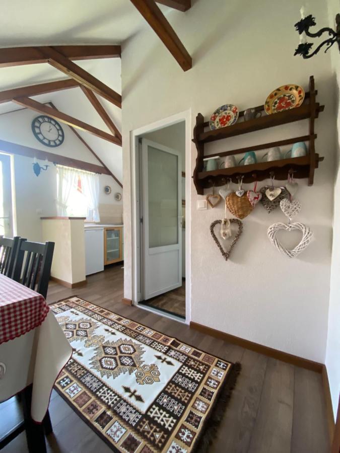 Casa Moldovan Ocna Sugatag Ngoại thất bức ảnh