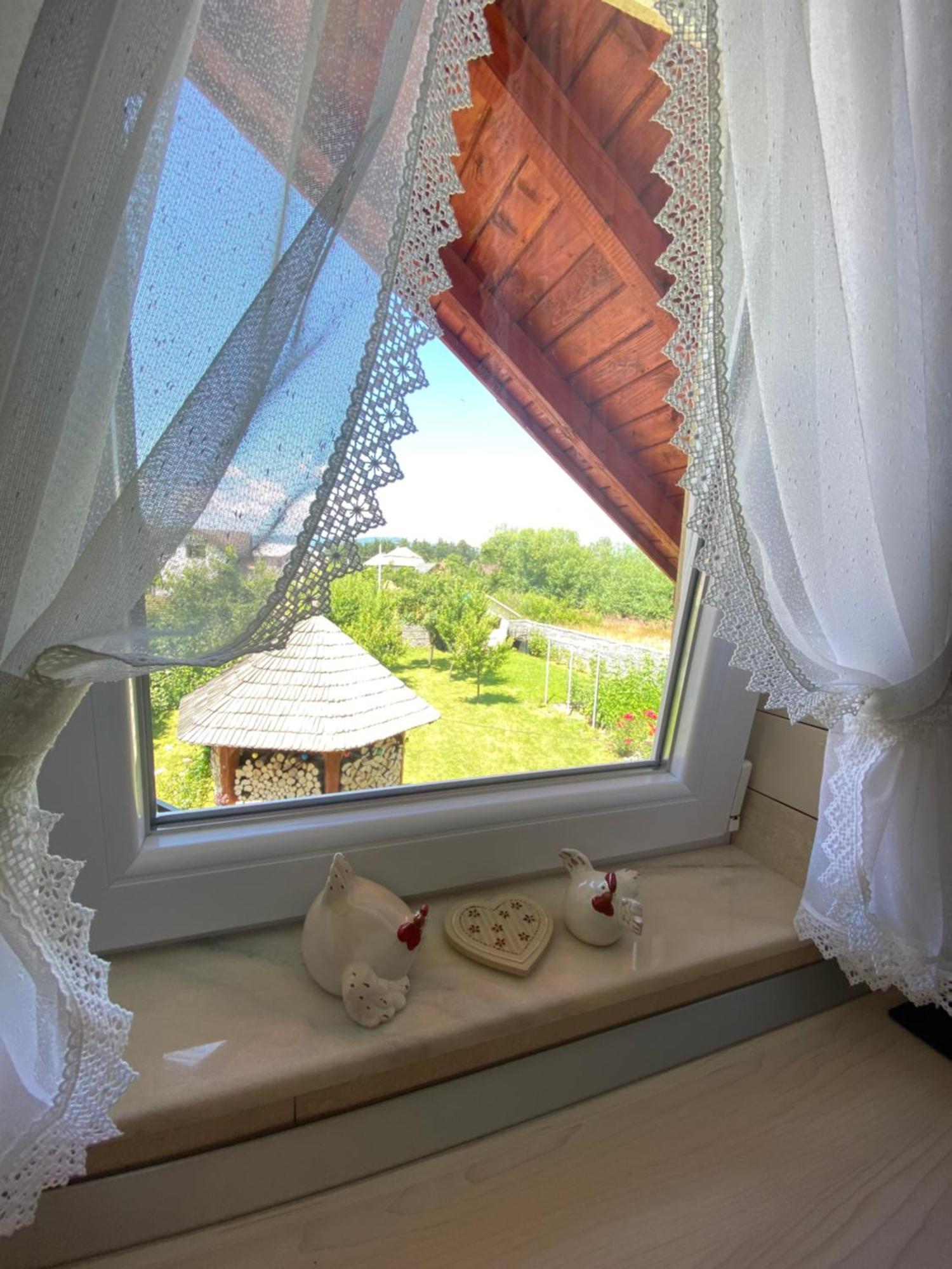 Casa Moldovan Ocna Sugatag Ngoại thất bức ảnh
