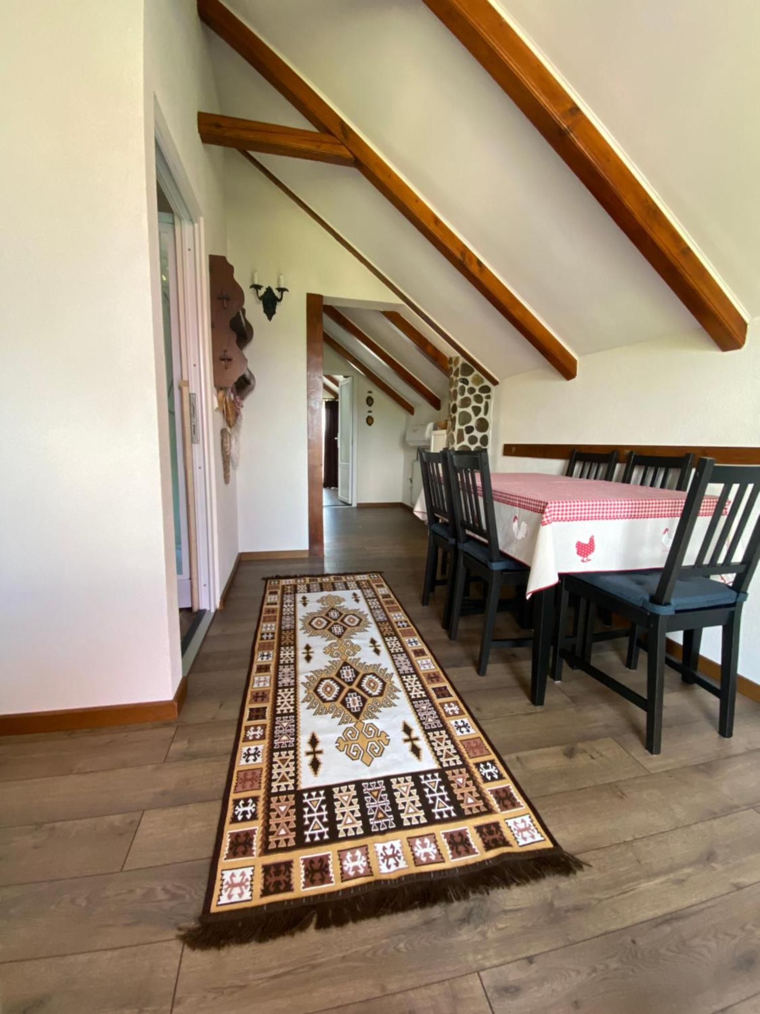 Casa Moldovan Ocna Sugatag Ngoại thất bức ảnh